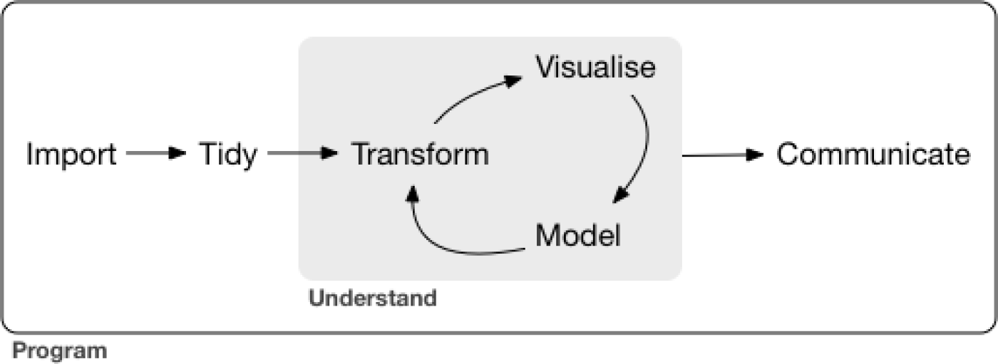 Data Exploration Phases - From *R for Data Science*